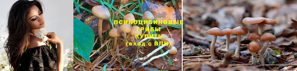 таблы Арсеньев