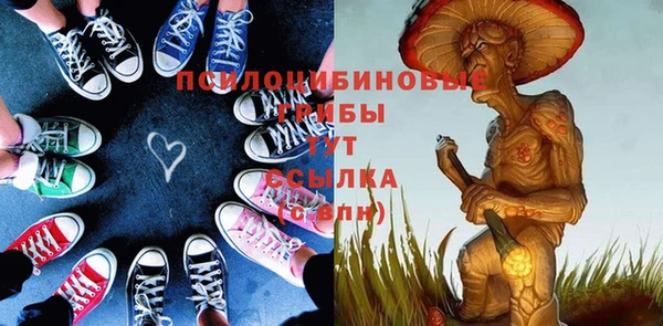 трава Аркадак