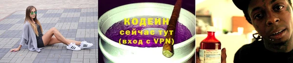 прущие грибы Армянск