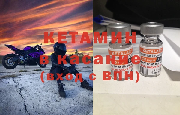прущие грибы Армянск
