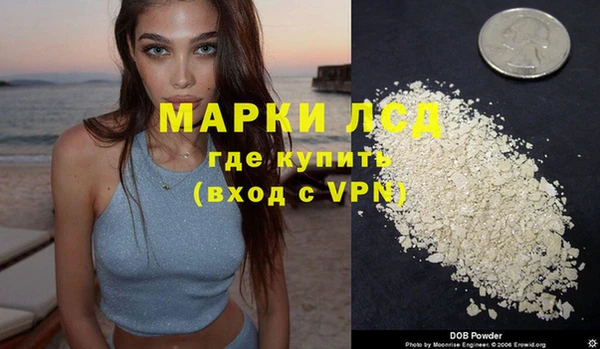 прущие грибы Армянск
