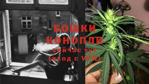 трава Аркадак