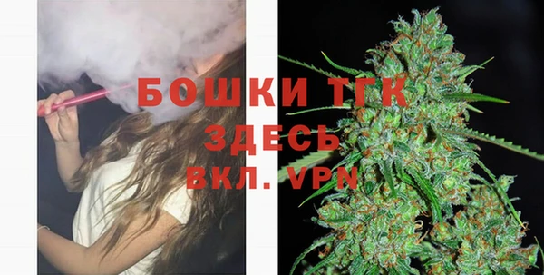 прущие грибы Армянск