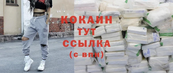 трава Аркадак
