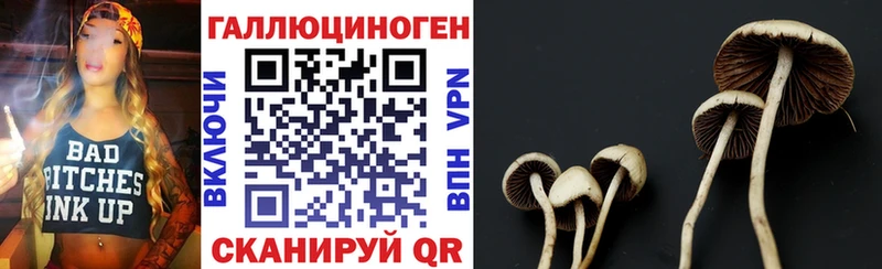Псилоцибиновые грибы Psilocybine cubensis  купить   Пустошка 